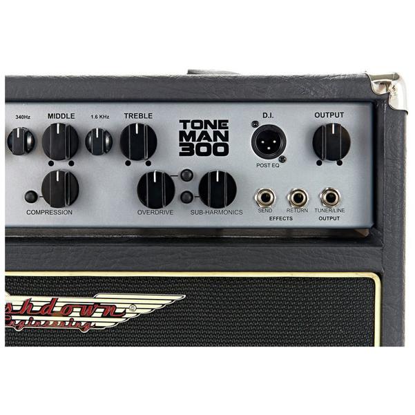 Ashdown Toneman C115 Evo III Bass Combo Amplifier - Image 3