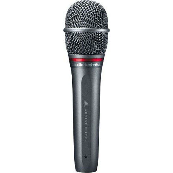 Audio-Technica AE6100 Hypercardioid Dynamic Microphone