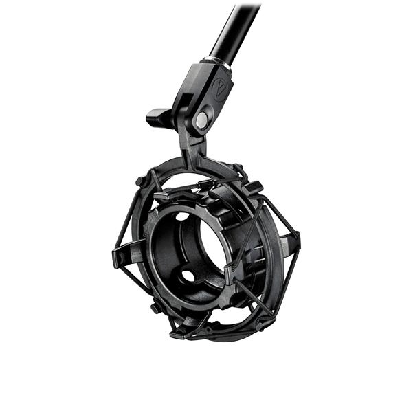 Audio-Technica BP40 Large-Diaphragm Dynamic Broadcast Microphone - Image 4