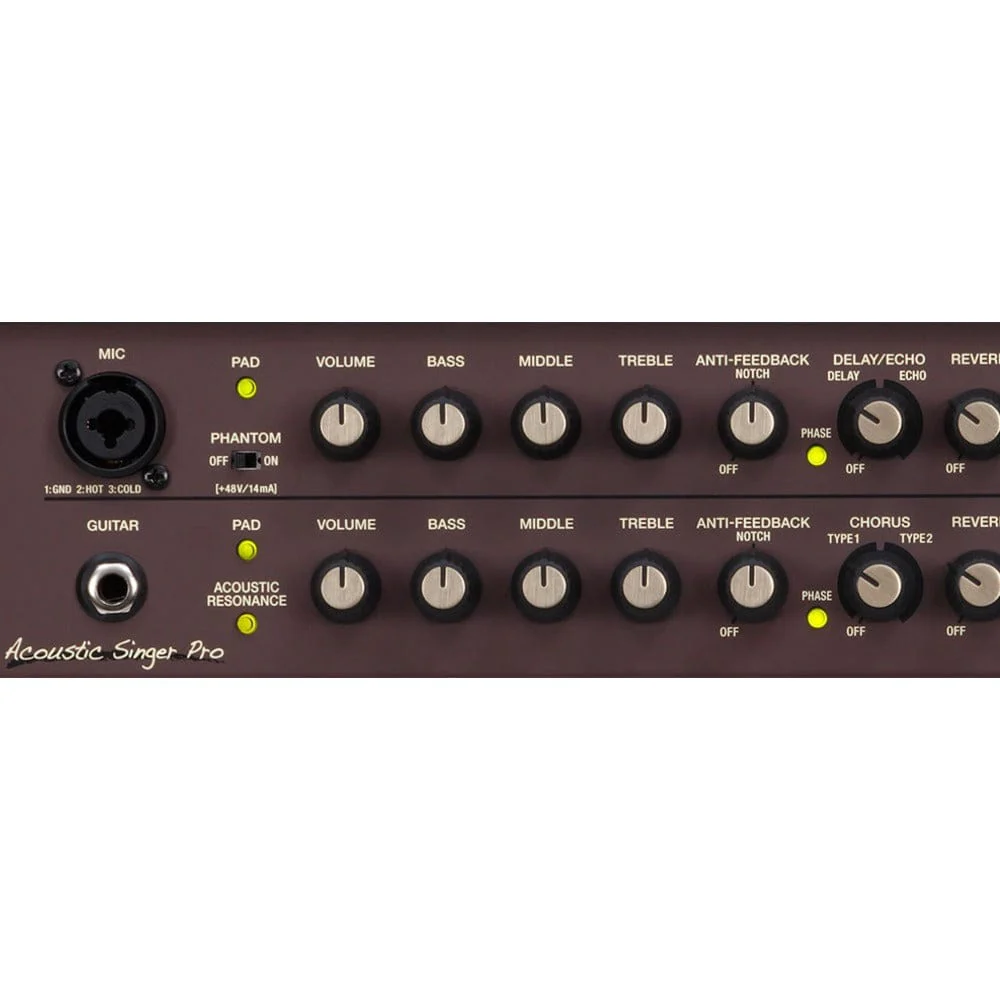 Boss ACS-PRO Acoustic Singer Pro Guitar Amplifier - Image 5