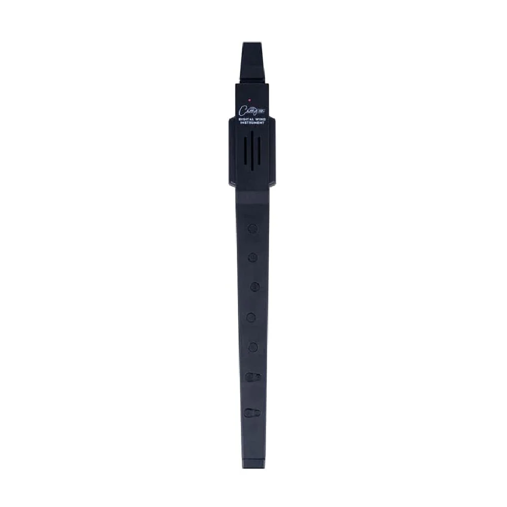 Carry-On Digital Wind Instrument - Image 2