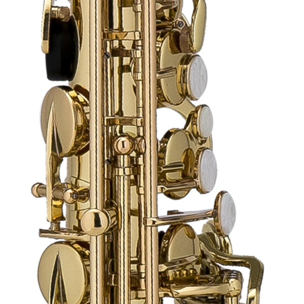Chateau Alto Saxophone CAS-21 CVL - Image 3