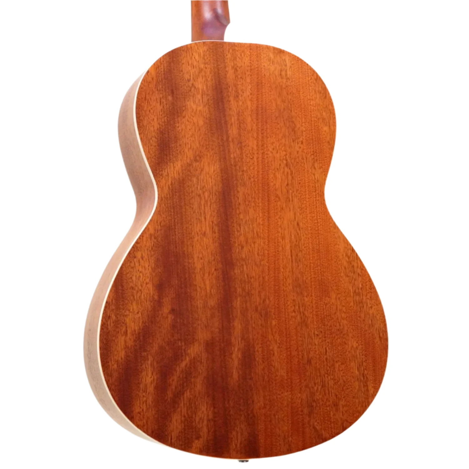 Cort AP550M 6 String Acoustic Guitar - Image 3