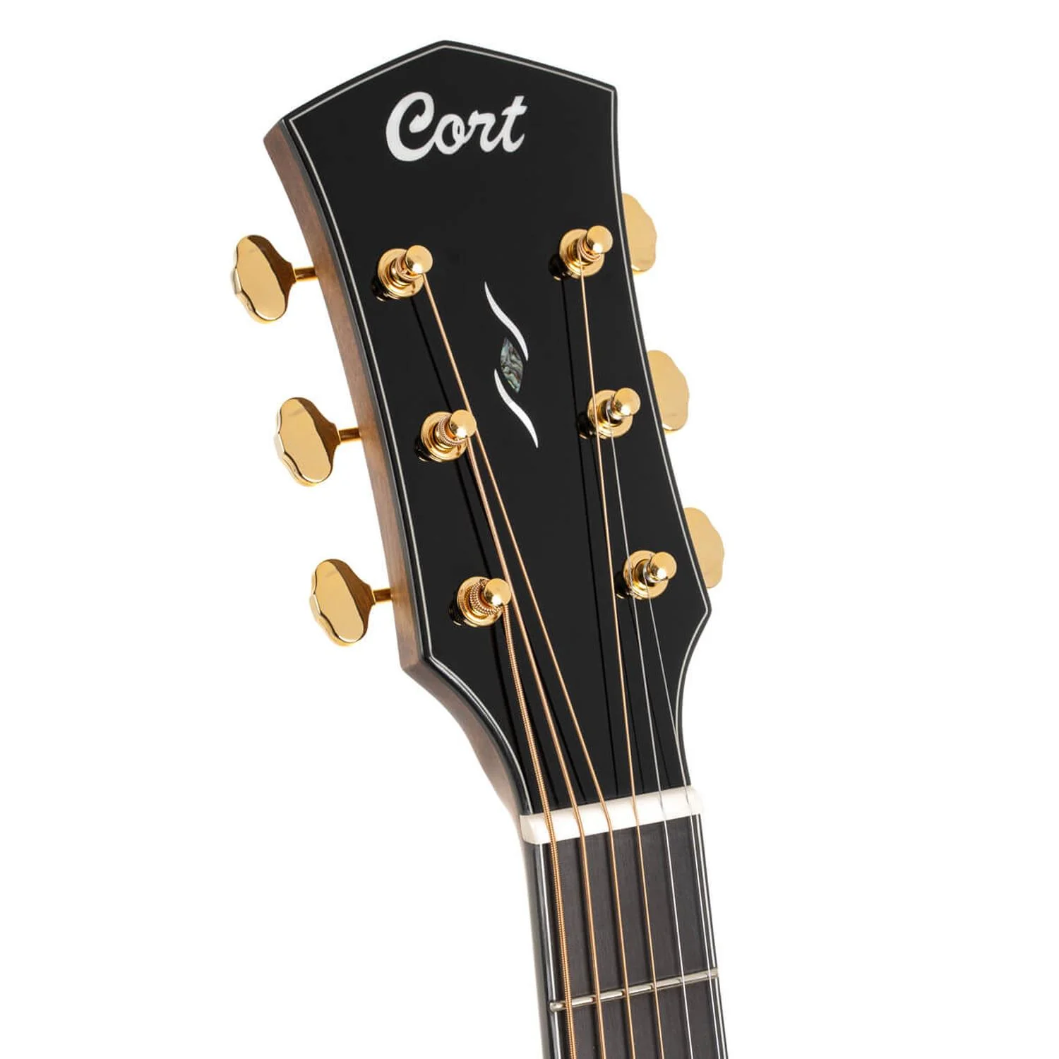 Cort GOLD-DC6 6 String Electro Acoustic Guitar with Case - Image 3