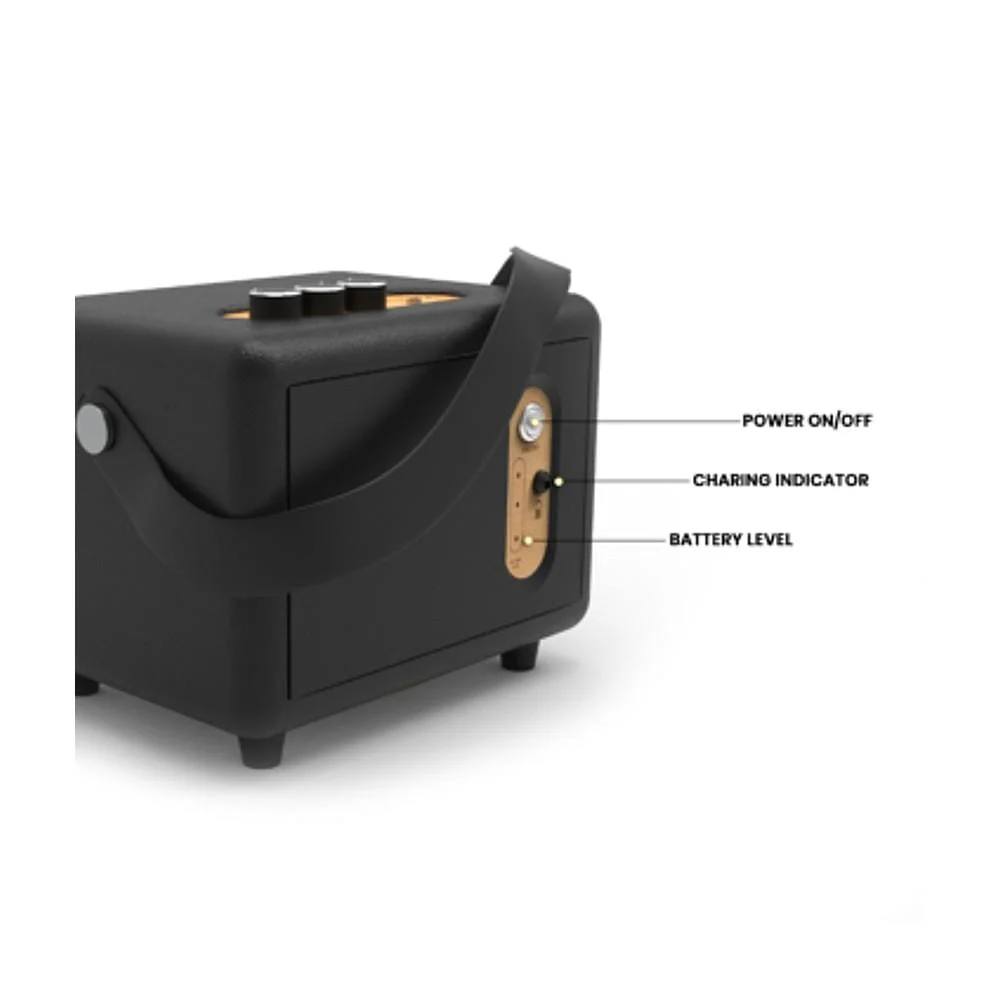 Deciwood Unplugged Wooden Bluetooth Speaker - Image 4