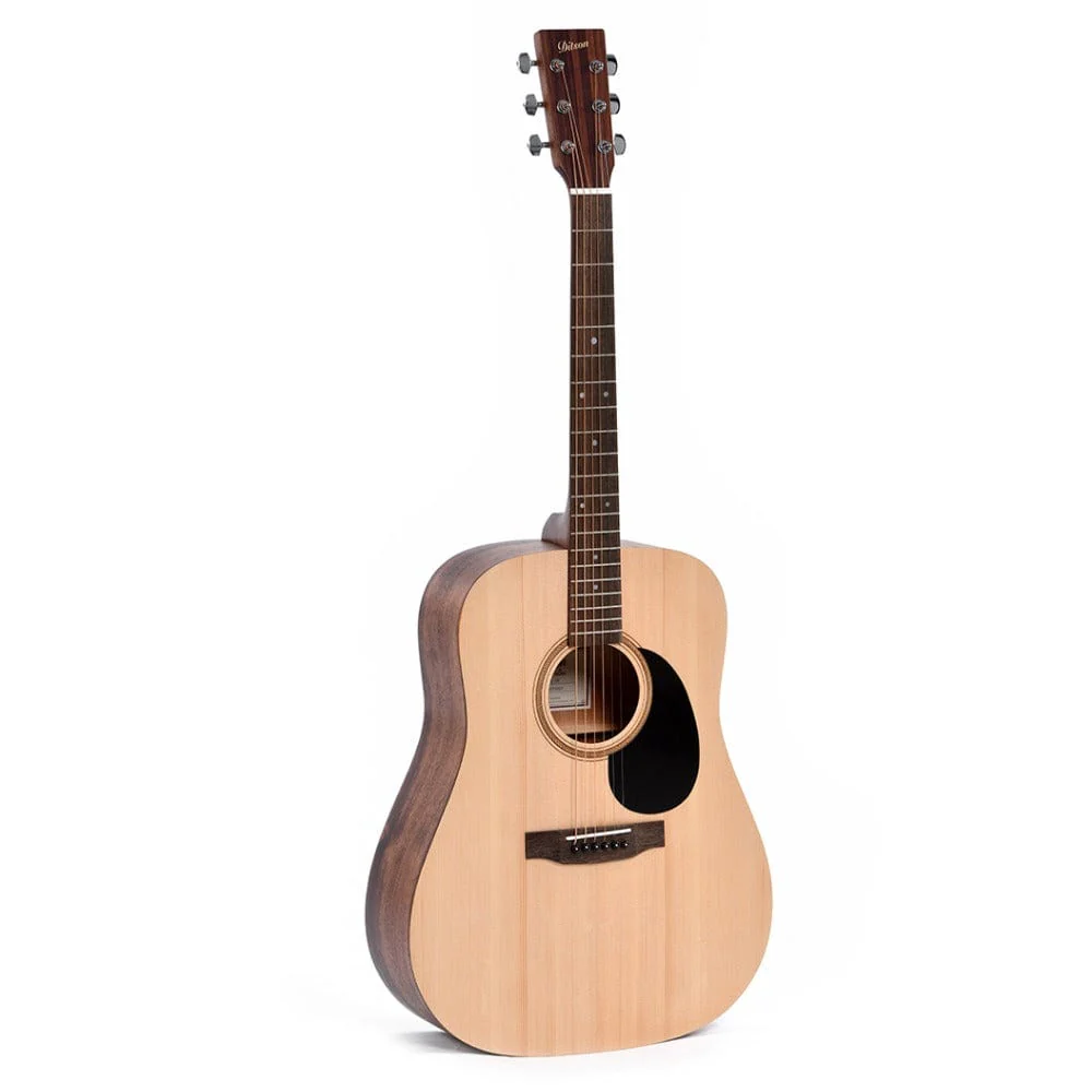 Ditson D-10 6 String Acoustic Guitar - Natural