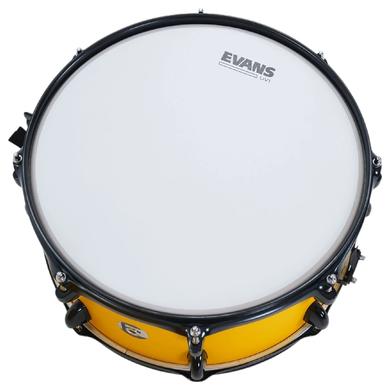 Dixon Fuse 5 Piece Maple Gloss Acoustic Drum Kit - Image 38