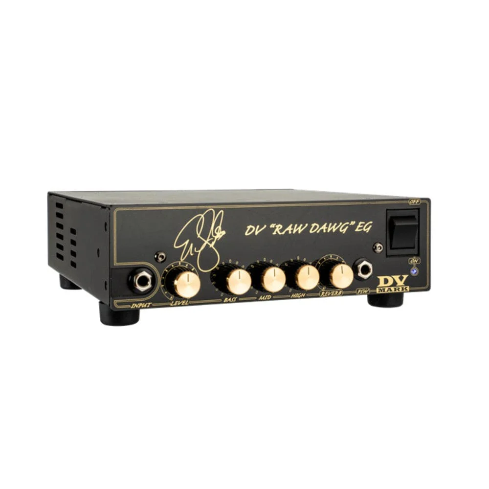 DV Mark Raw Dawg EG Guitar Amplifire - Image 2