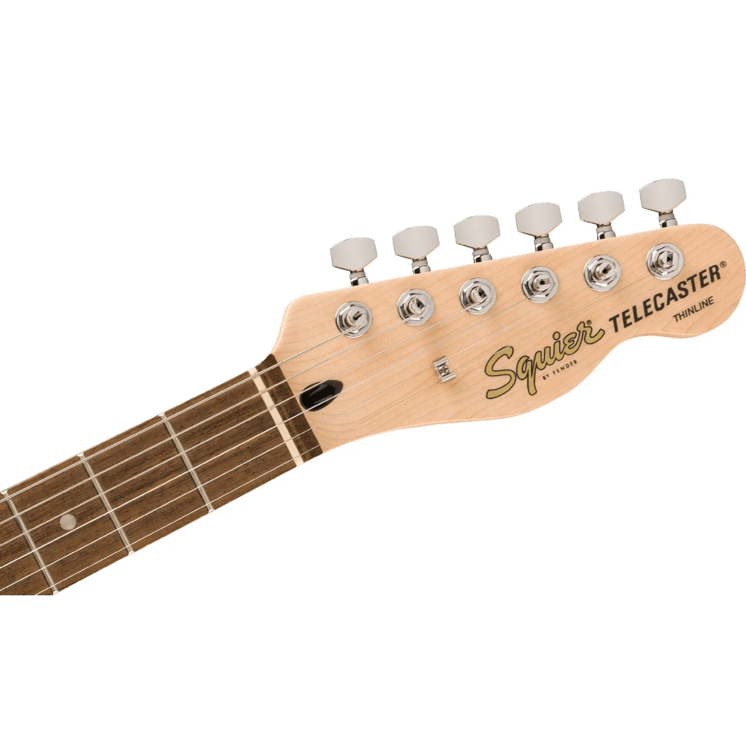 Fender Squier Affinity Telecaster Thinline 6 String Electric Guitar - Image 4