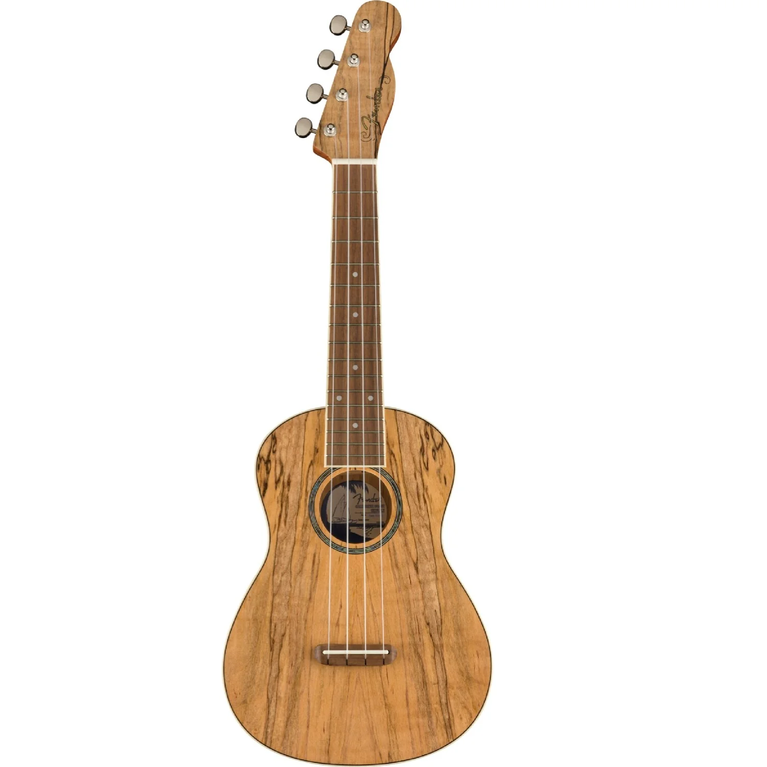 Fender Zuma Exotic Concert Ukulele - Image 9