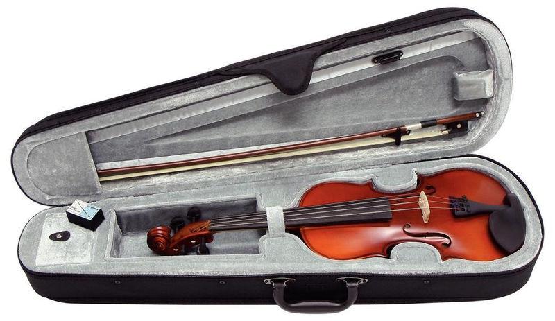 Gewa Allegro Flaxwood Violin 4/4 - Image 4