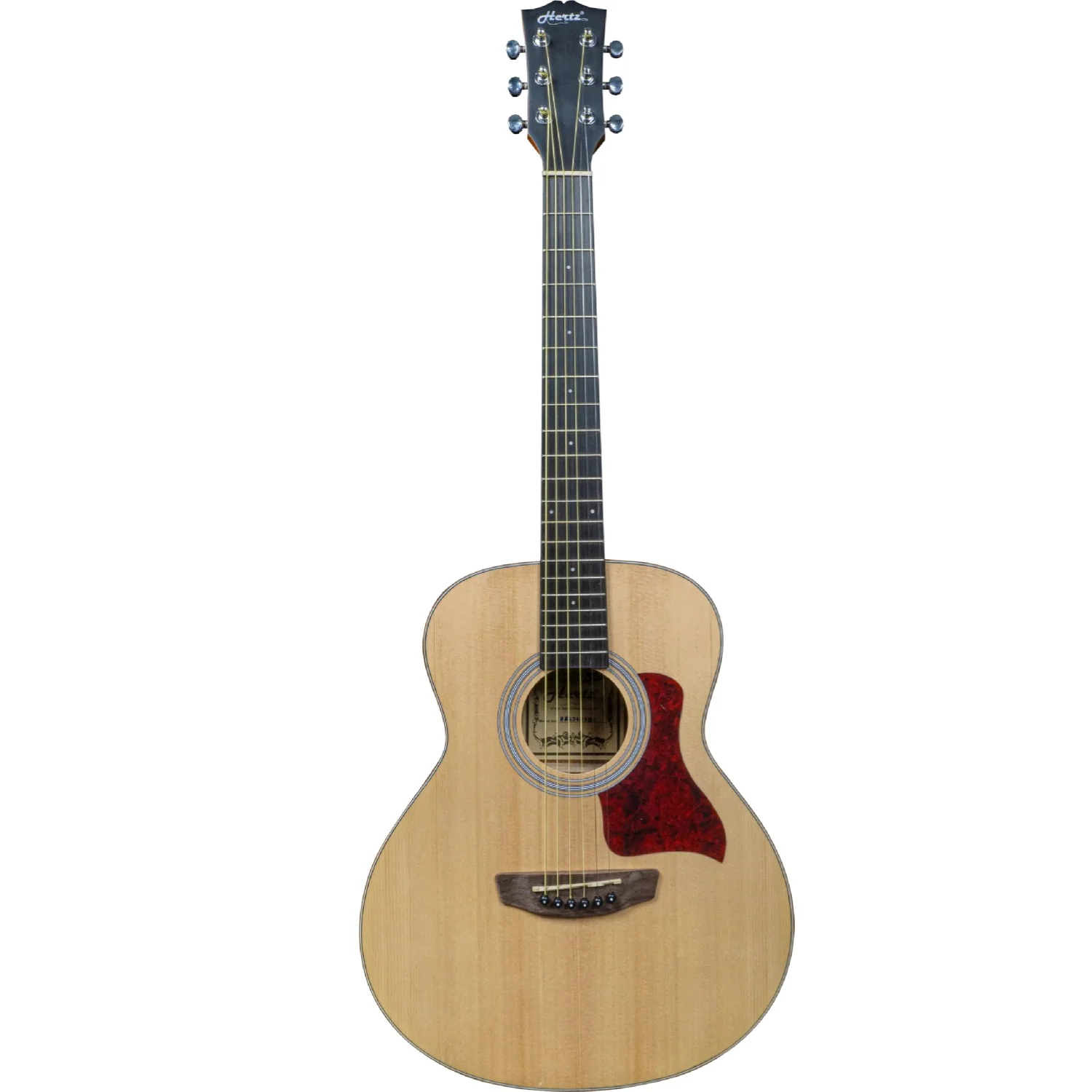 Hertz HZA-3600 6 String Acoustic Guitar