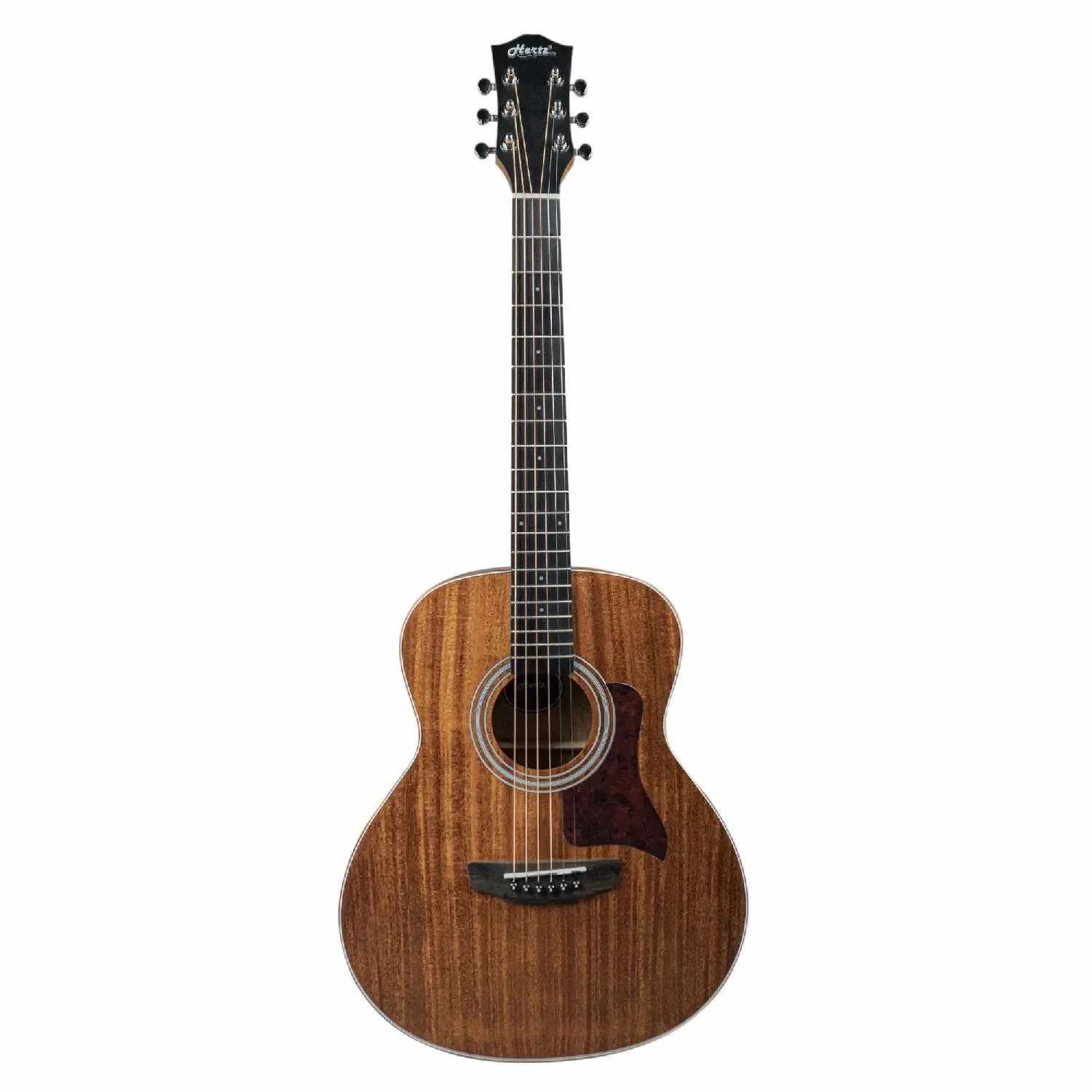 Hertz HZA-3600 6 String Acoustic Guitar - Image 9