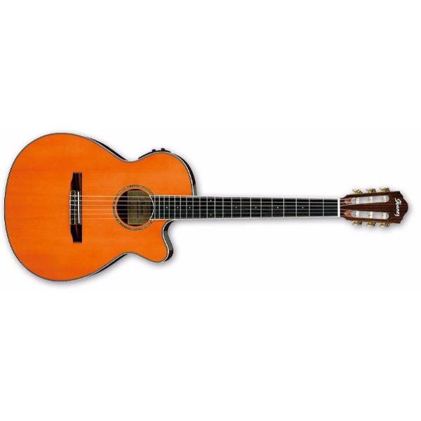 Ibanez AEG10NII Nylon String Acoustic-Electric Guitar - Open Box