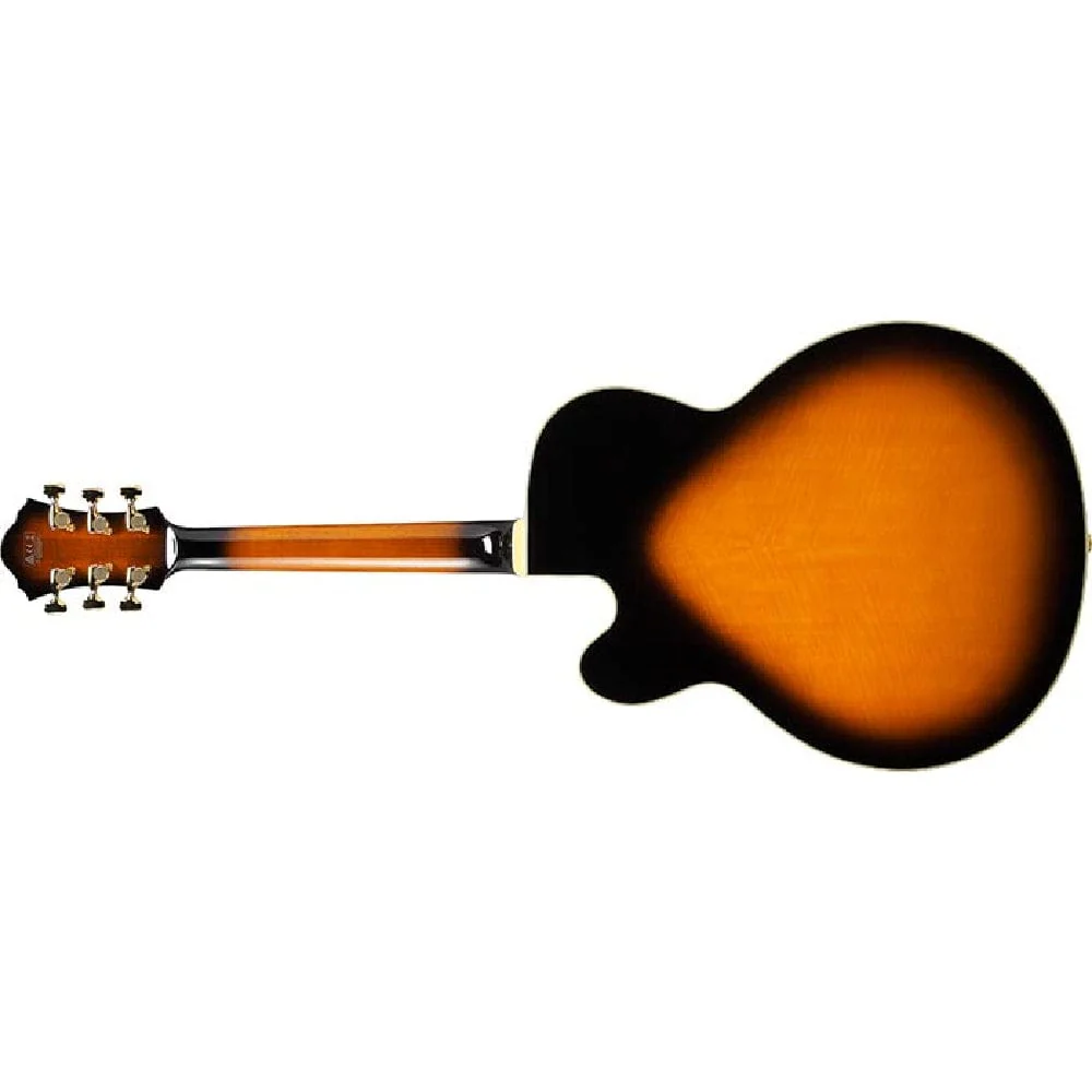 Ibanez JSM100 John Scofield Signature Hollow Body 6 String Electric Guitar - Image 14