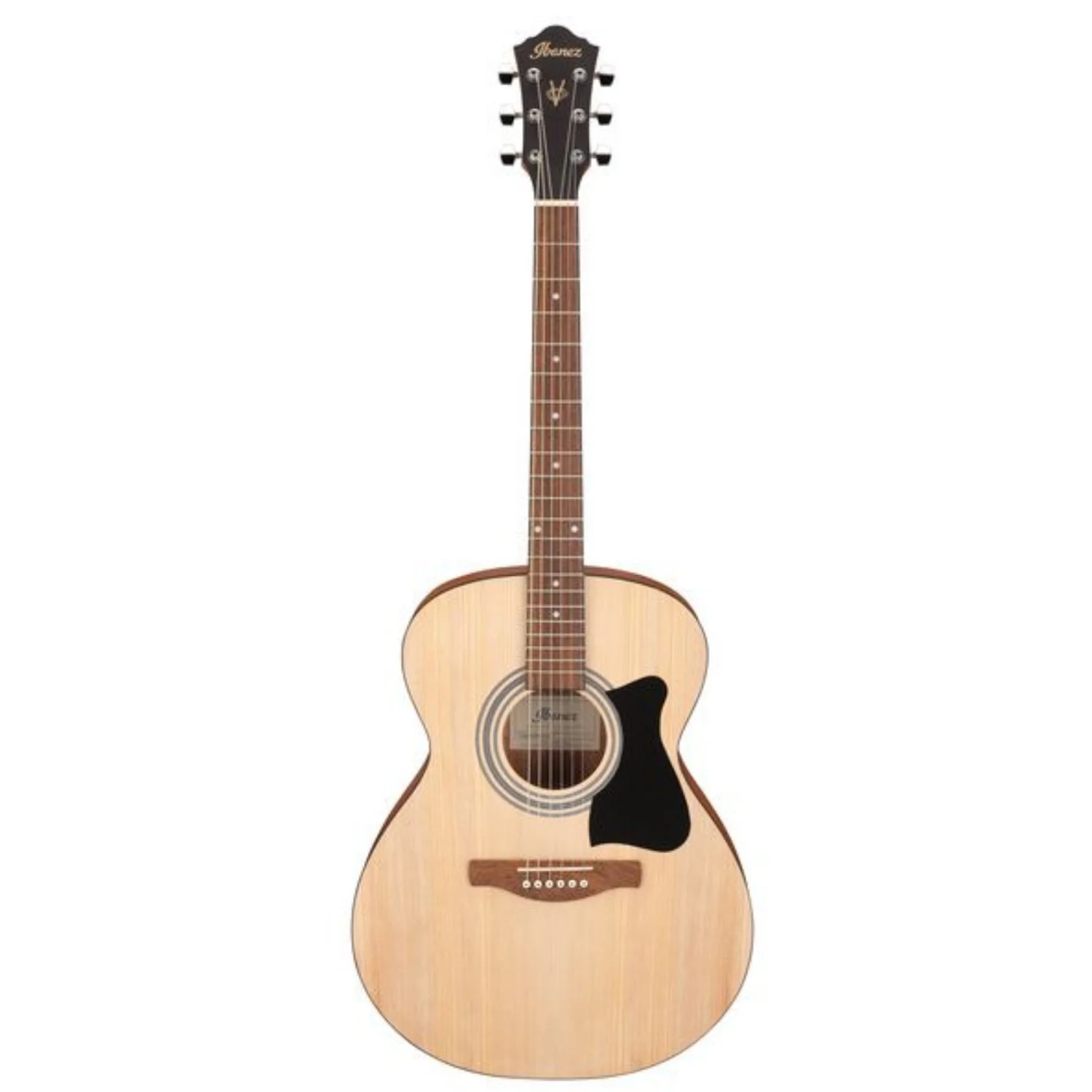 Ibanez VC50NJP 6 String Acoustic Guitar Pack
