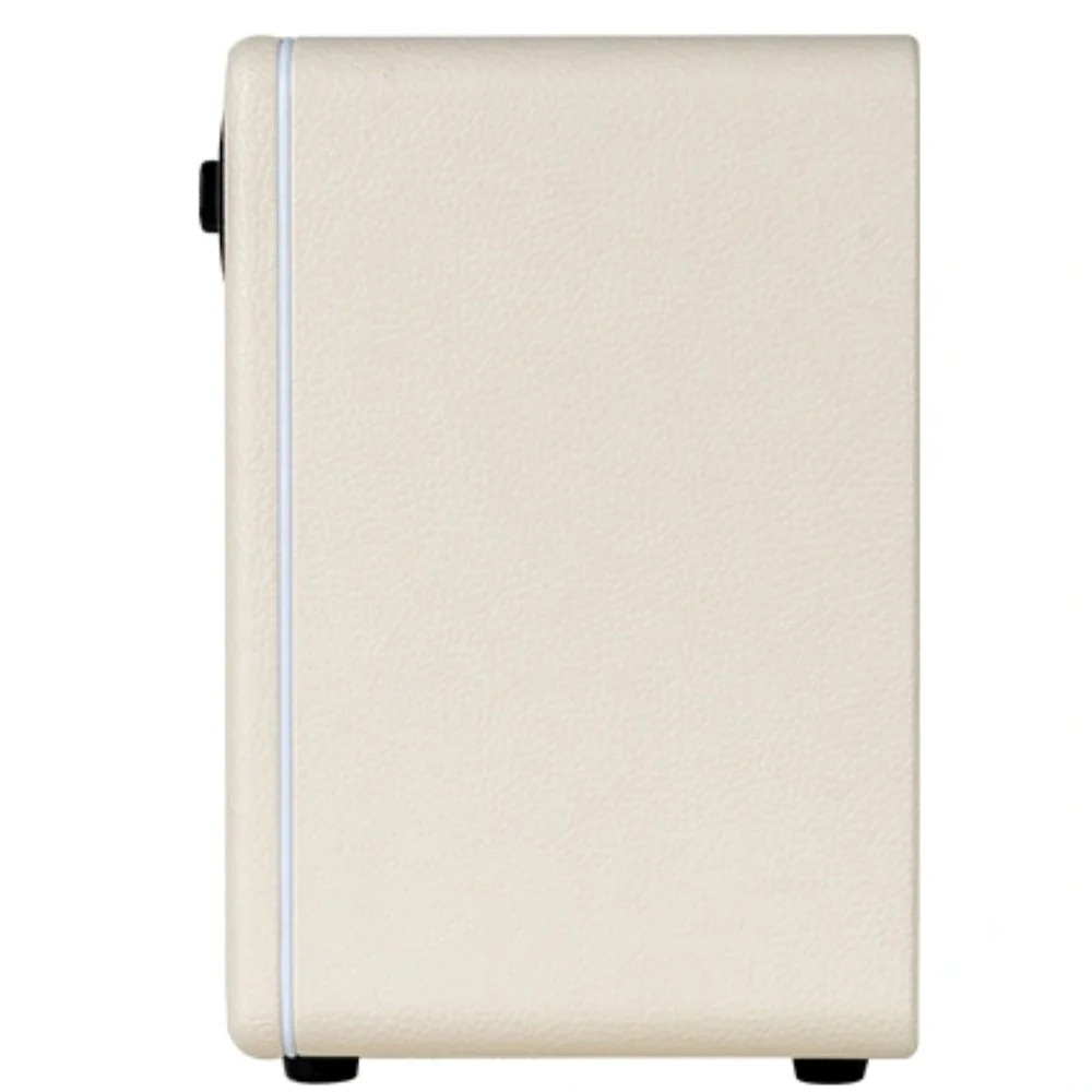 Mooer Hornet 15i Intelligent Amplifier - Image 13