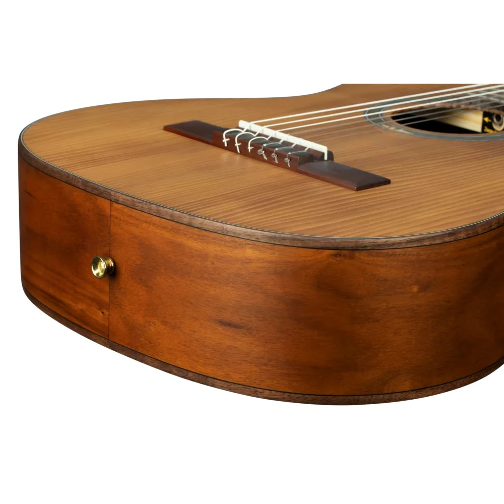 Ortega R23RO Thermo Series Acoustic Guitar with Bag - Image 16