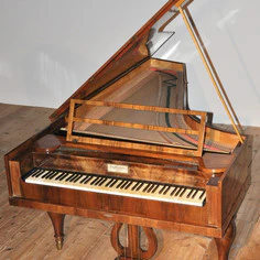 Pianoteq Kremsegg Collection 1: Classic Pianos – Professional Audio Software & Plugin - Image 5