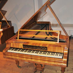 Pianoteq Kremsegg Collection 1: Classic Pianos – Professional Audio Software & Plugin - Image 7