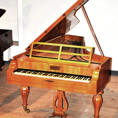 Pianoteq Kremsegg Collection 2: Historical Pianos – Professional Audio Software & Plugin - Image 6