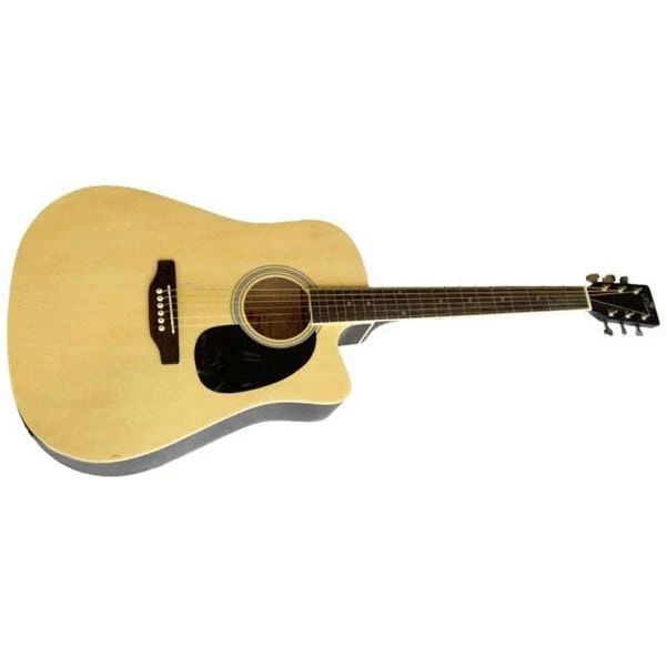 Pluto HW41C-201 Acoustic Guitar - Open Box