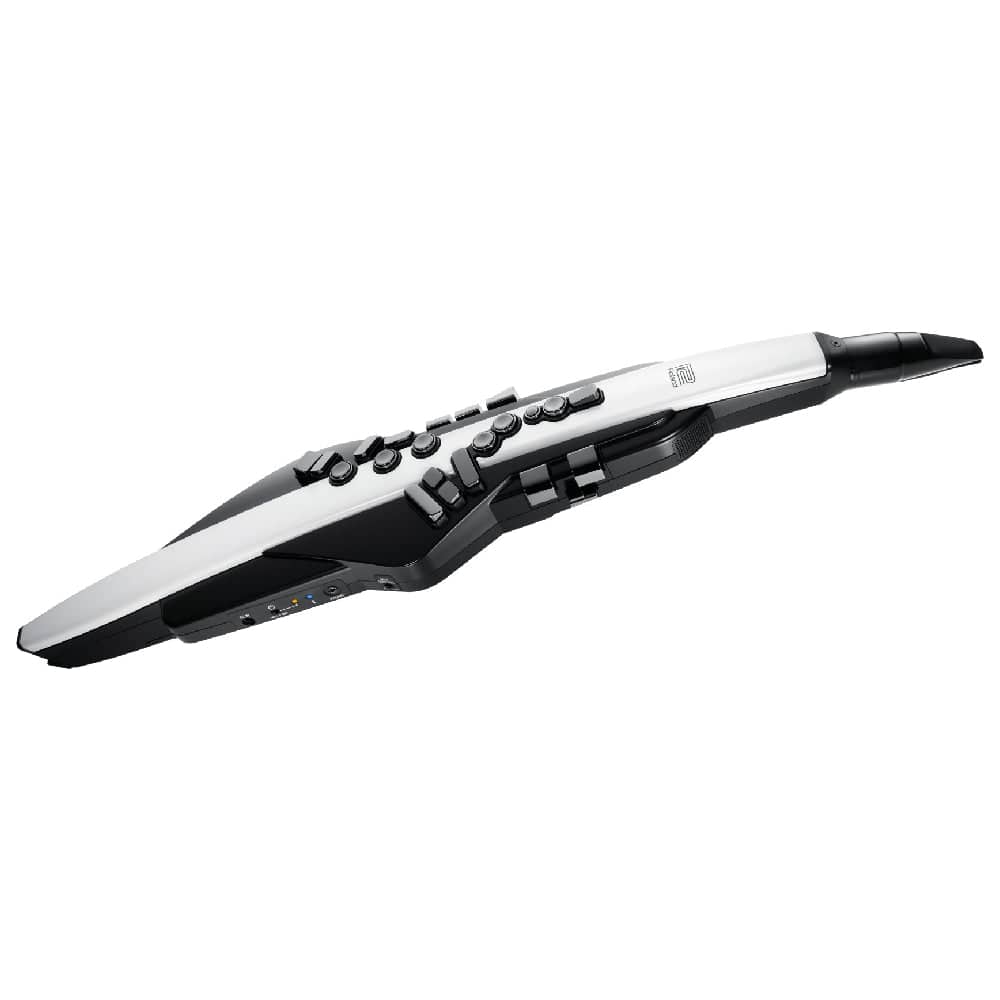 Roland Aerophone AE-20 Digital Wind Instrument - Image 6