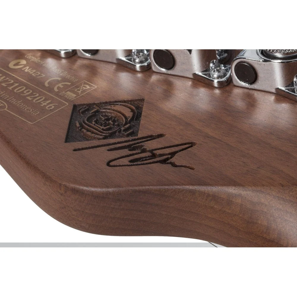 Schecter Nick Johnston Signature PT 6 String Electric Guitar - Image 38