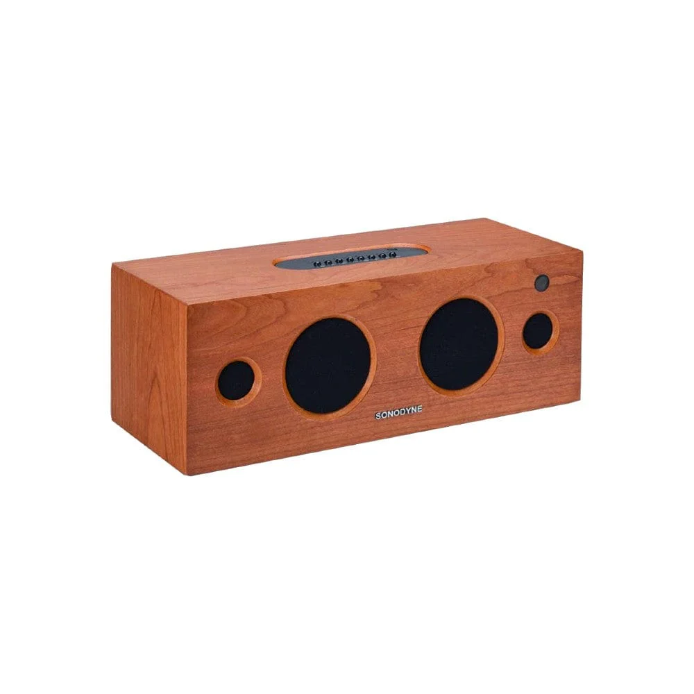 Sonodyne Alaap Wireless High Fidelity Music System - Image 2