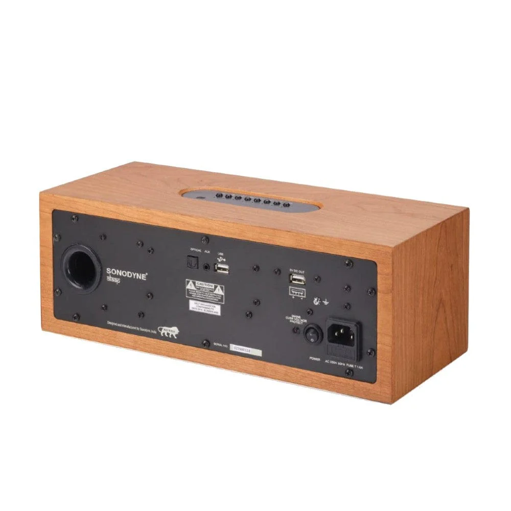 Sonodyne Alaap Wireless High Fidelity Music System - Image 4