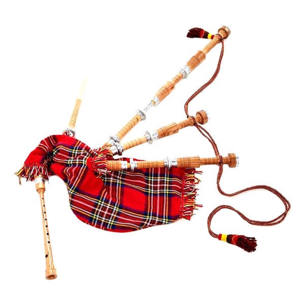 Thomann Mc Cocus L Big Bagpipe - Open Box
