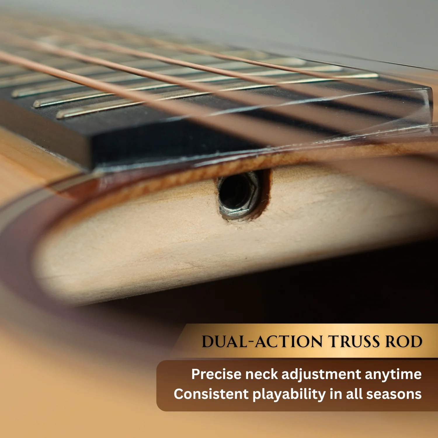 Vault Artisan Premium Electro-Acoustic Guitar with Solid Spruce Top, Solid Mahogany Back and Sides and Fishman Pickup - Image 9