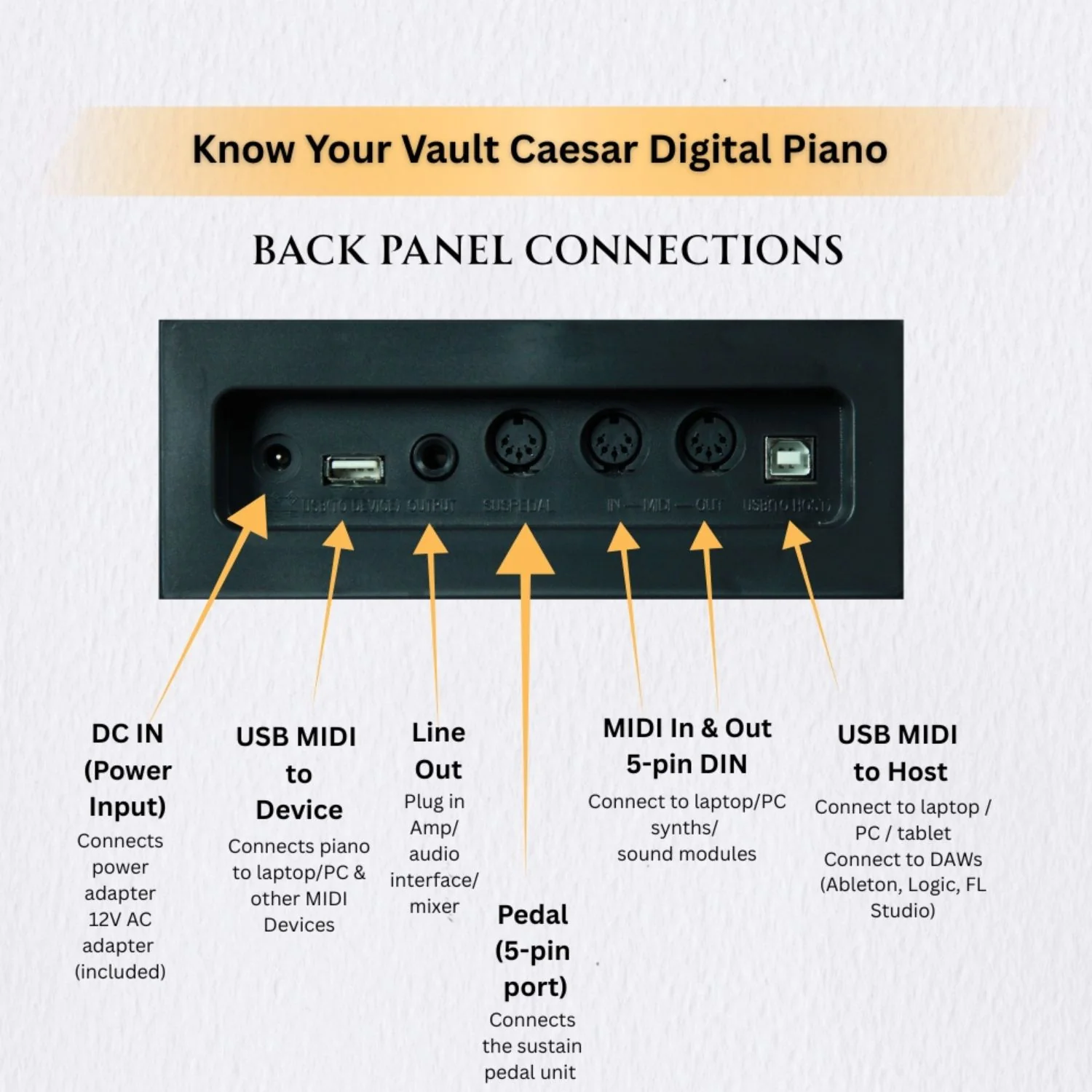 Vault Caesar MK2 88 Key Digital Piano - Image 42