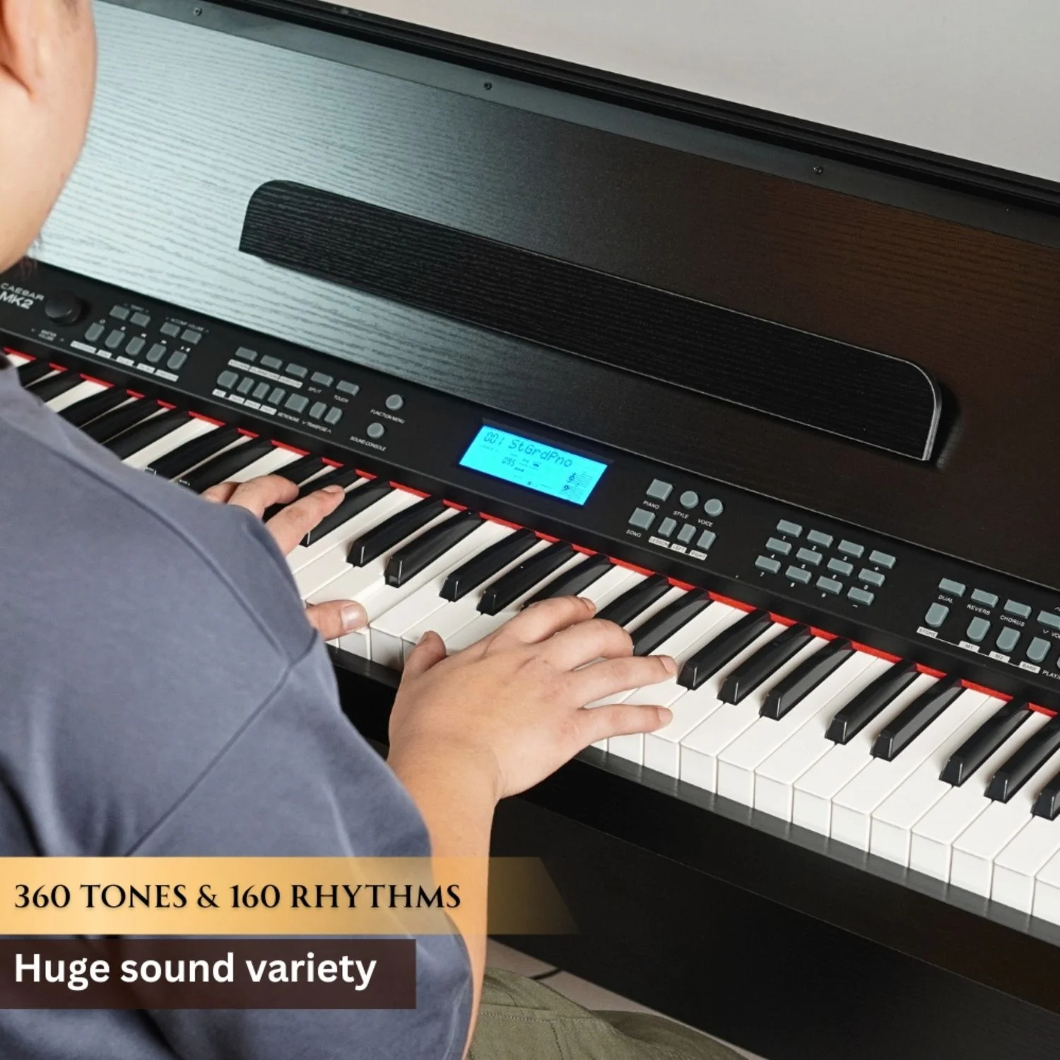 Vault Caesar MK2 88 Key Digital Piano - Image 44