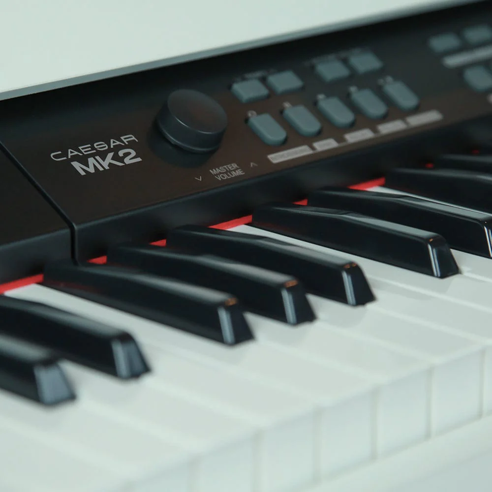 Vault Caesar MK2 88 Key Digital Piano - Image 4