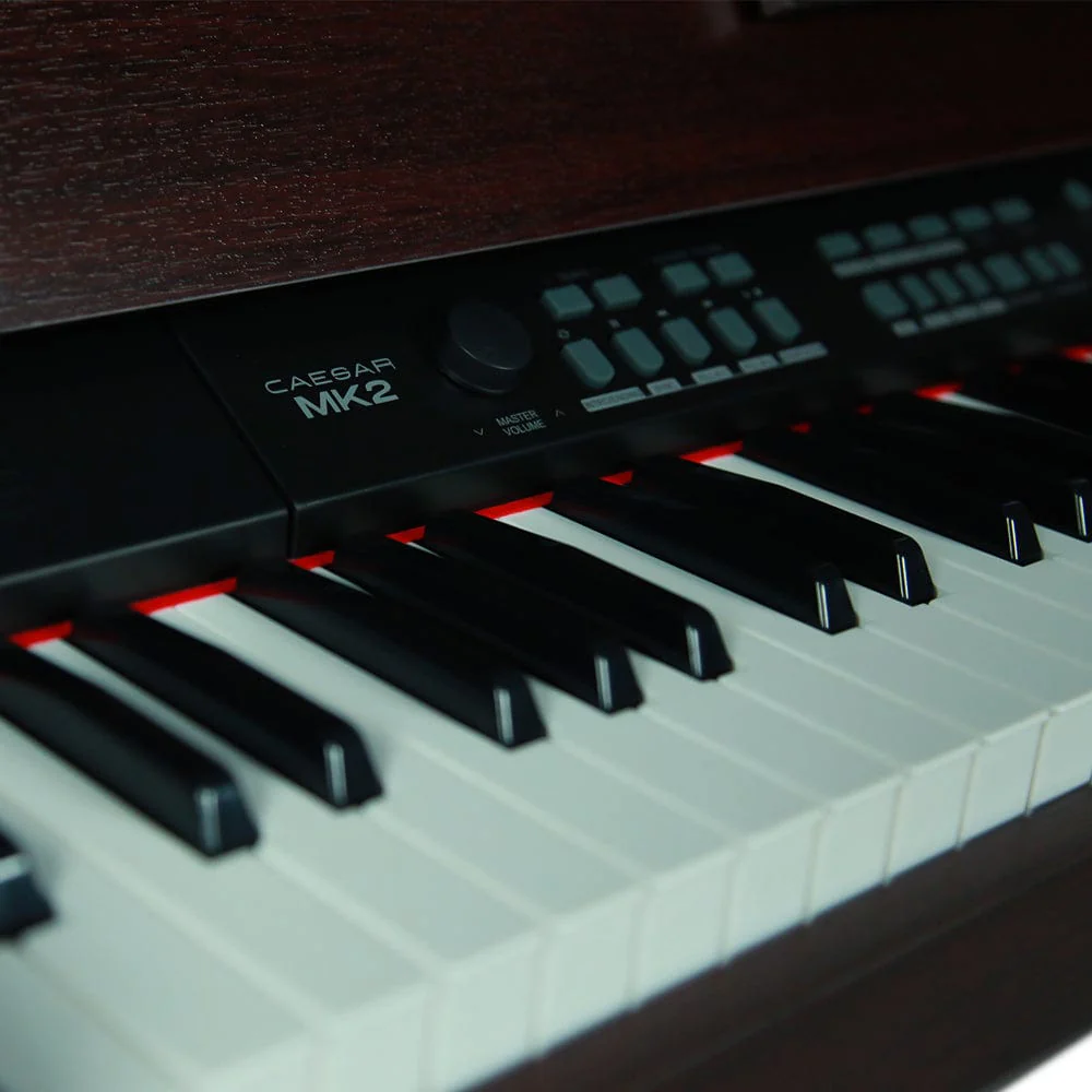 Vault Caesar MK2 88 Key Digital Piano - Image 18