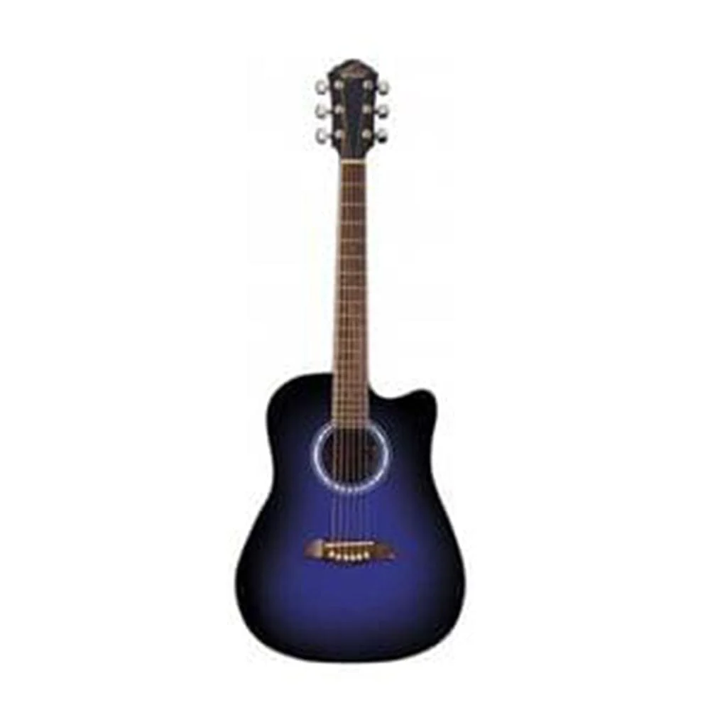 Washburn OD45CBLBPAK Dreadnought Acoustic Guitar